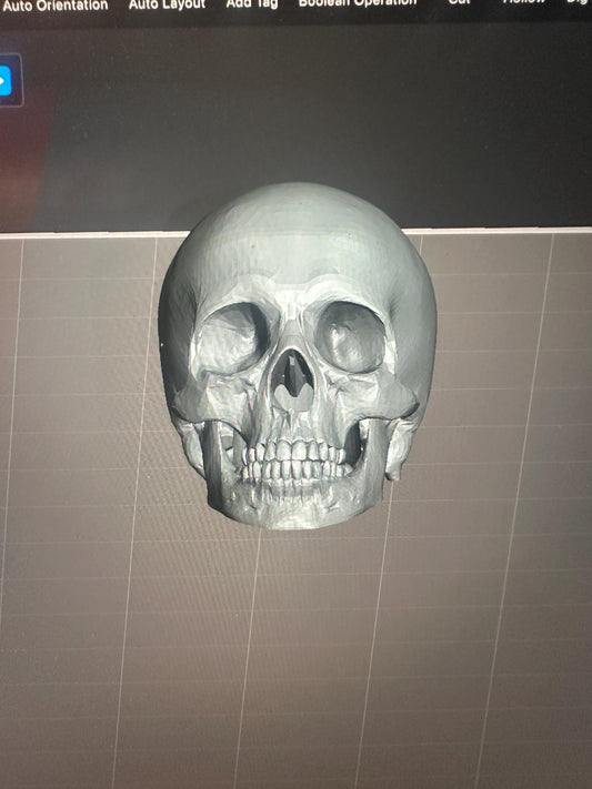 Human Skull Swatch Caps paint bottle toppers