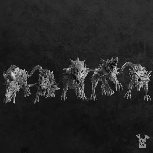 HOUNDS OF THE WORMHOLE X5