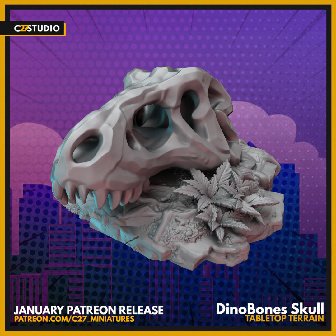 Dinosaur Bones – Skull