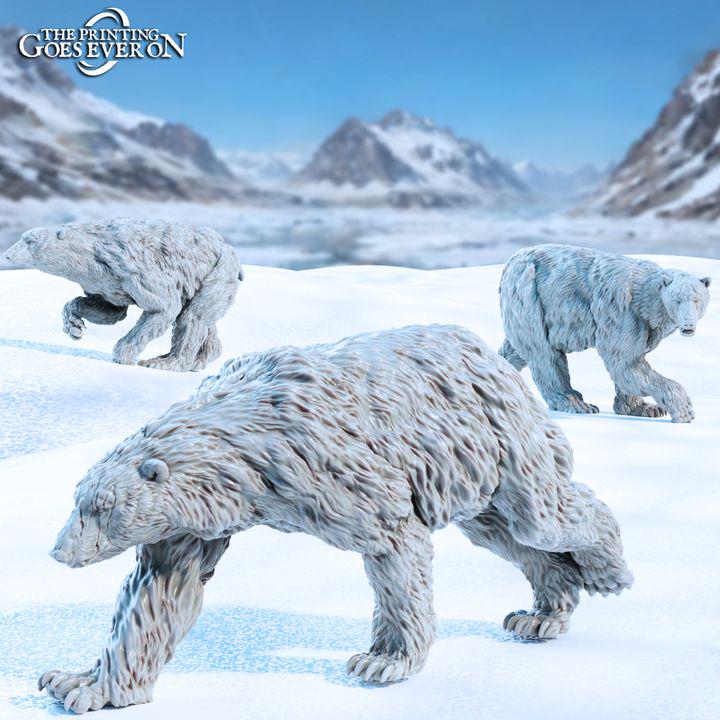 Tales of the Glacial Wilds | DND full Campaign | The Printing Goes EverOn