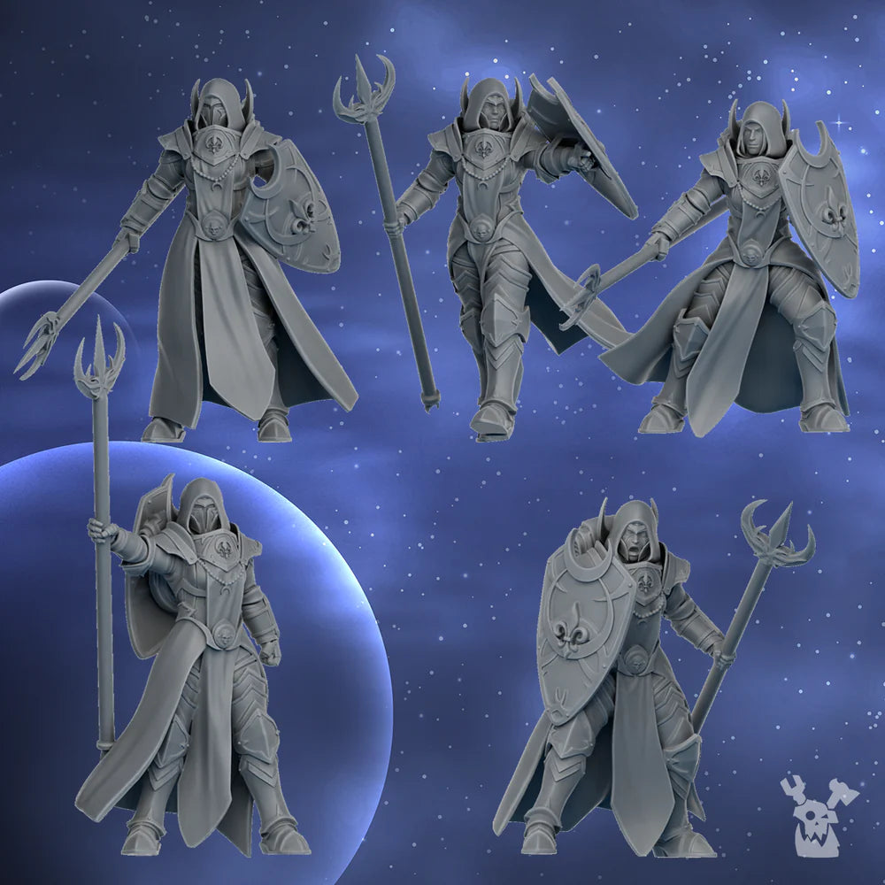 Silver Guards Squad x5 (spears)