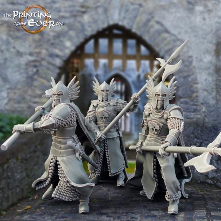 Soldiers of Gonthan | DND full Campaign | The Printing Goes EverOn