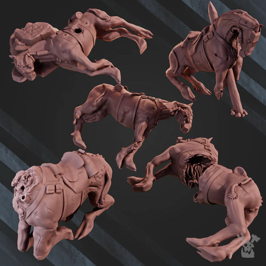 SLAIN HORSES FOR TERRAIN X5