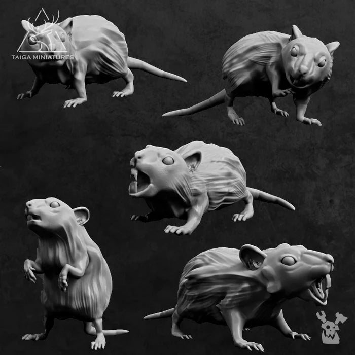 Crypt's Rats x5