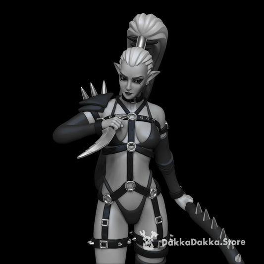 Leader of the Dark Elf Witches 34mm (true scale)