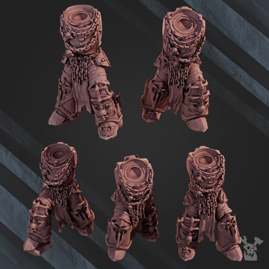 SPACE LIONS BODY SET X5