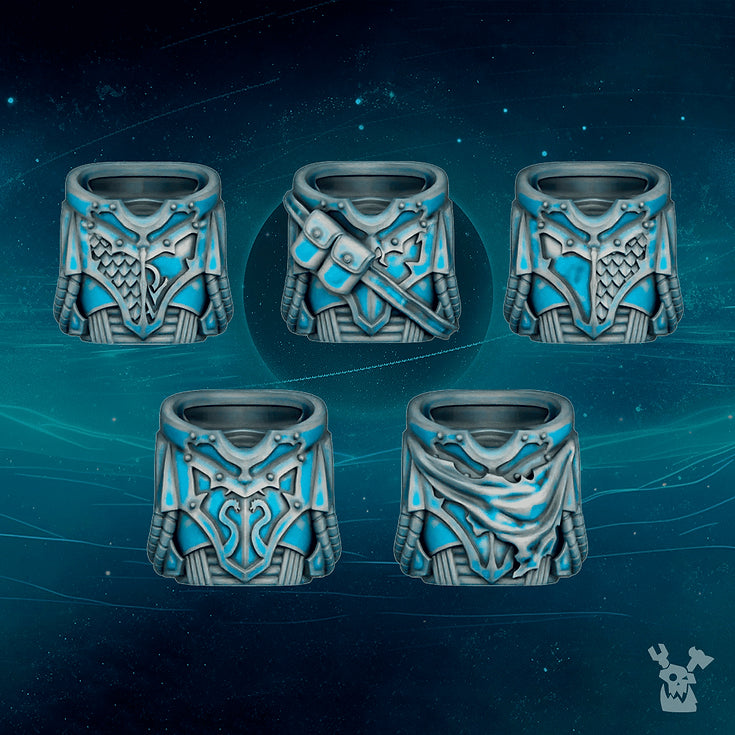 Scylla Assault Brothers Body Set x5