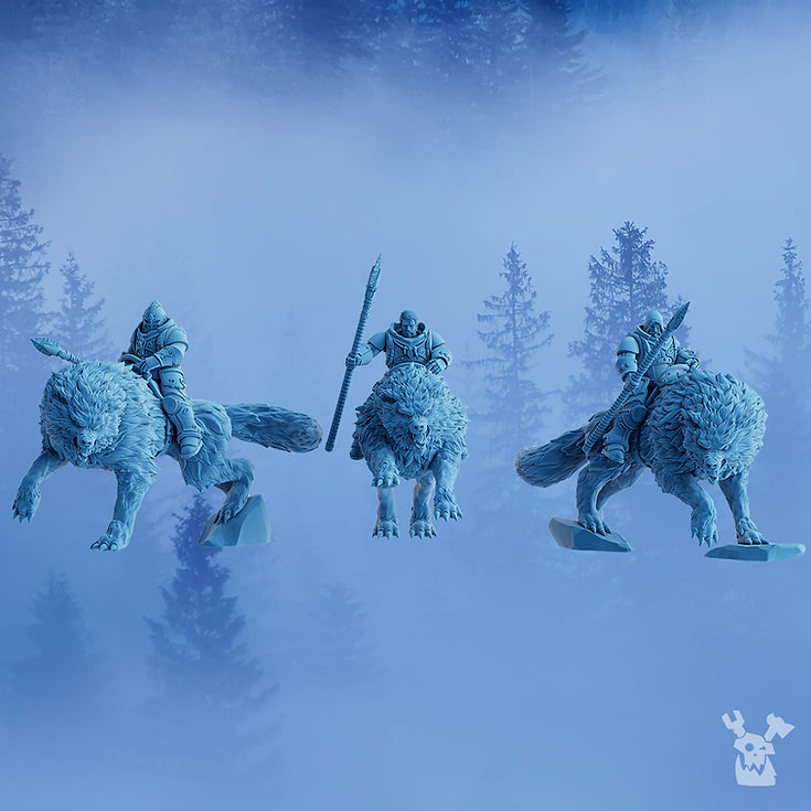 Stormbringers Wolfriders x3