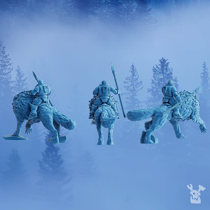 Stormbringers Wolfriders x3
