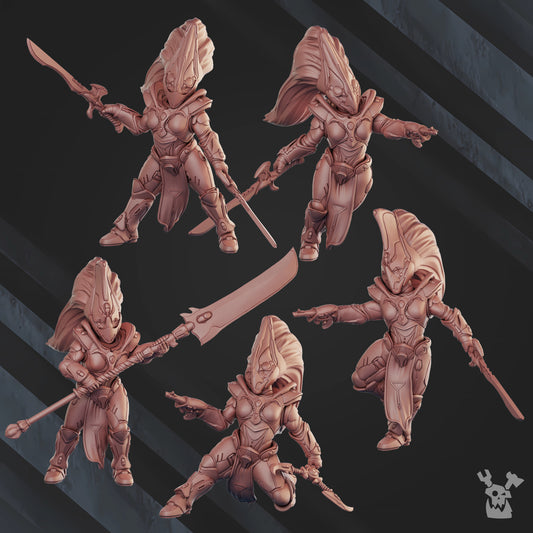 COMET SCREAMERS SQUAD (BUILD-KIT)