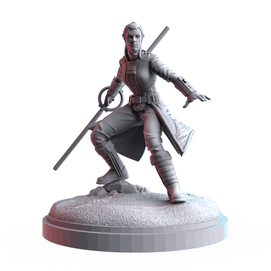 Rakish Inquisitor