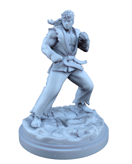 Combo Fighter